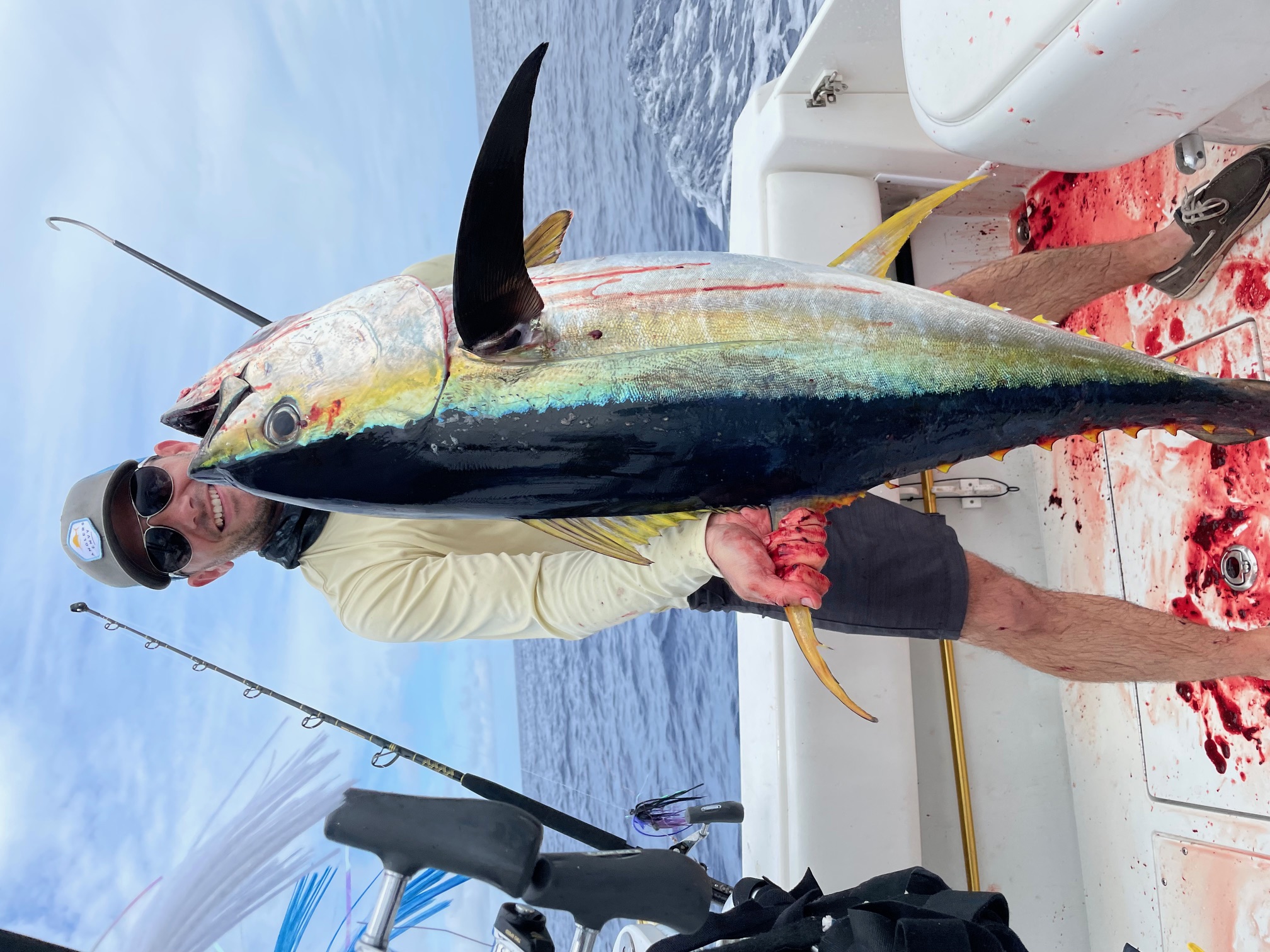 Yellowfin Tuna